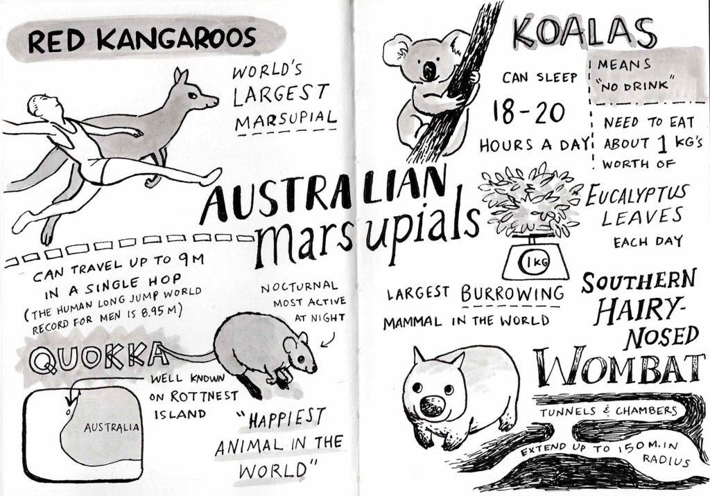 Travel Comic (part&nbsp;2)